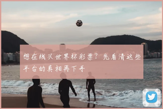 想在线买世界杯彩票?先看清这些平台的真相再下手