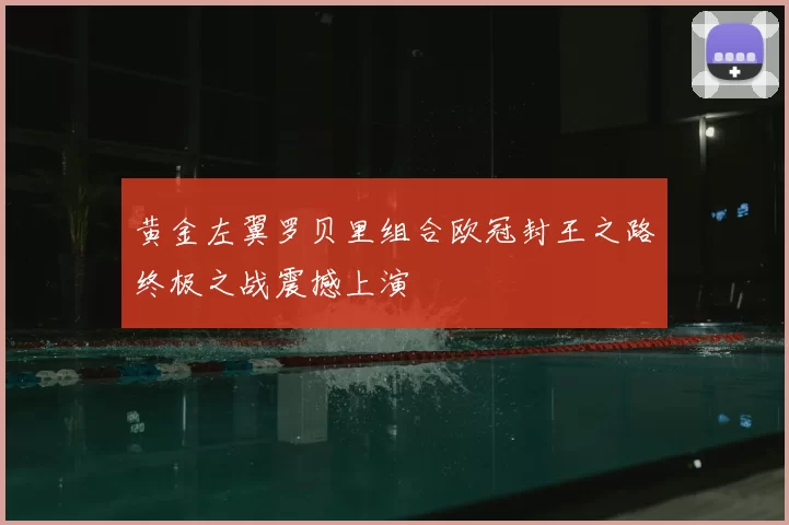 黄金左翼罗贝里组合欧冠封王之路终极之战震撼上演