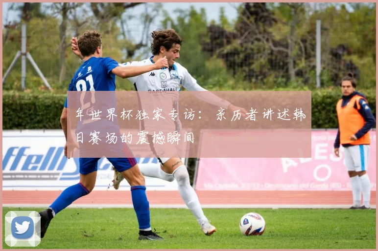 年世界杯独家专访:亲历者讲述韩日赛场的震撼瞬间