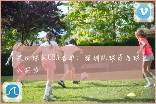 深圳球队CBA名单：深圳队球员与球队实力