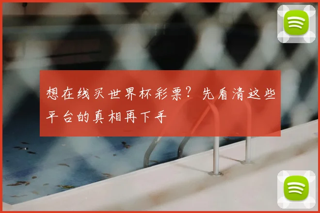 想在线买世界杯彩票?先看清这些平台的真相再下手