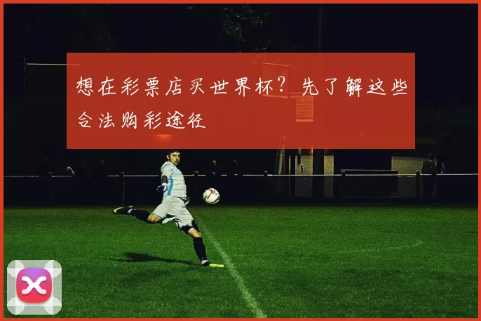 想在彩票店买世界杯?先了解这些合法购彩途径