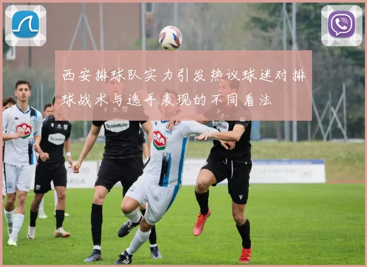 西安排球队实力引发热议球迷对排球战术与选手表现的不同看法