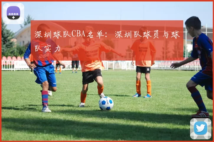 深圳球队CBA名单：深圳队球员与球队实力