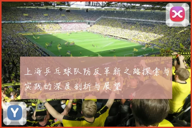 上海乒乓球队防反革新之路探索与实践的深度剖析与展望