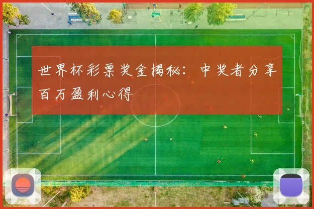 世界杯彩票奖金揭秘:中奖者分享百万盈利心得