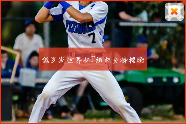 俄罗斯世界杯F组积分榜揭晓