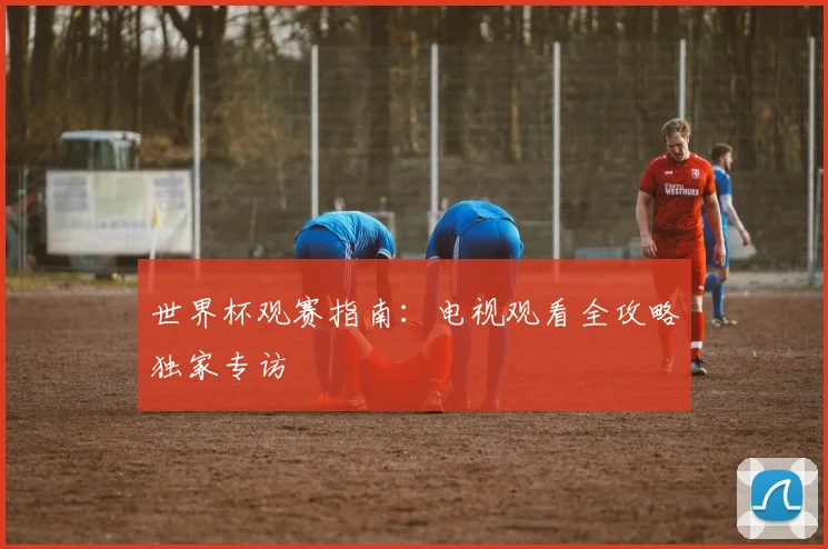 世界杯观赛指南：电视观看全攻略独家专访