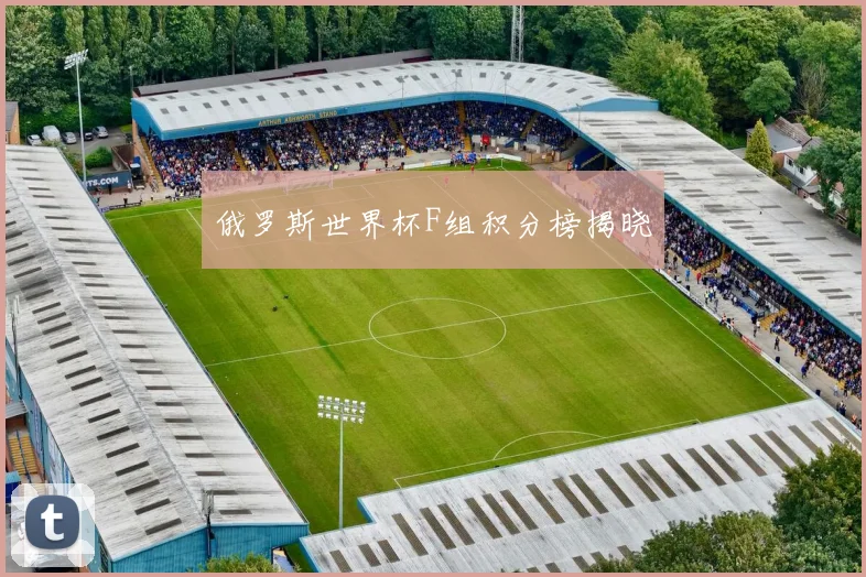 俄罗斯世界杯F组积分榜揭晓
