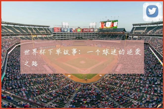 世界杯下单故事:一个球迷的逆袭之路