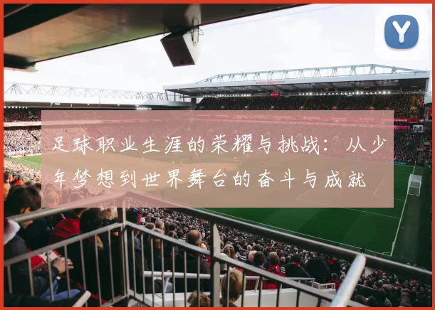 足球职业生涯的荣耀与挑战：从少年梦想到世界舞台的奋斗与成就